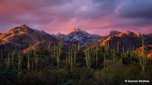 Places to visit in Tucson